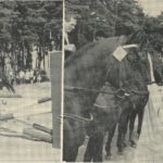 Preisverleihung durch Marianne Koch und Hans Sachs auf dem Deutsch-Amerikanischen Volksfest. -- Bild: Archiv Kultur- und Militärmuseum Grafenwöhr