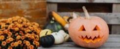 Geschnitzter Halloween Kürbis auf einer Bank. - Bild: Pexels / Karolina Grabowska