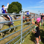 Members of the U.S. Army Garrison Benelux community watch a rodeo style horse-riding show during CAB Fest 2023 at Chièvres Air Base, Belgium, Sept. 16, 2023. The two-day CAB Fest was held on Sept. 15 and 16, and featured a variety of activities and entertainment based on the American themes of “Route 66” and the Wild West. (U.S. Army photo by Richard Komurek, USAG Benelux Public Affairs)