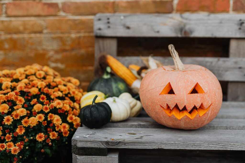 Geschnitzter Halloween Kürbis auf einer Bank. - Bild: Pexels / Karolina Grabowska